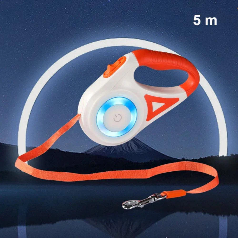 Hondenriem met LED-verlichting - Image 9